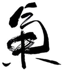 Qi — symbol tradičnej čínskej medicíny